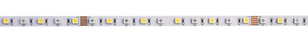 LED Stripe - Standard, SMD, 24V-16W, RGB/4000K, 5m