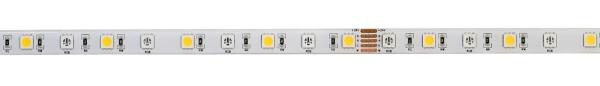 LED Stripe - Standard, SMD, 24V-16W, RGB/4000K, 5m, Silikon