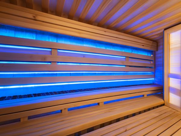 LED Stripe - Sauna, COB, 24V-15W, RGB, 2m, Silikon