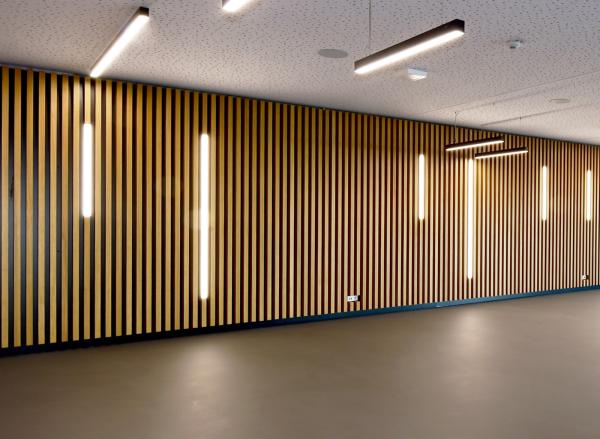 Profil - PLANO BSH für Wandmontage, 85 x 38mm, alu eloxiert mit LED-Träger, 2m